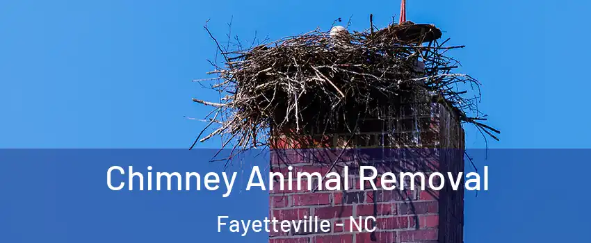 Chimney Animal Removal Fayetteville - NC