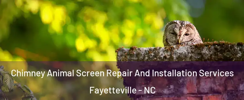 Chimney Animal Screen Repair And Installation Services Fayetteville - NC
