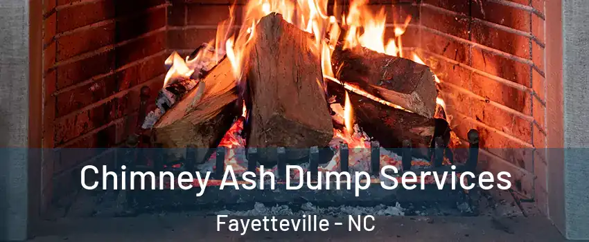  Chimney Ash Dump Services Fayetteville - NC