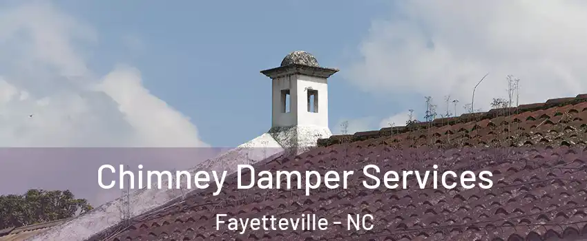 Chimney Damper Services Fayetteville - NC
