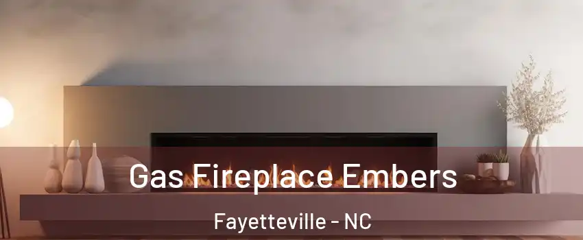  Gas Fireplace Embers Fayetteville - NC